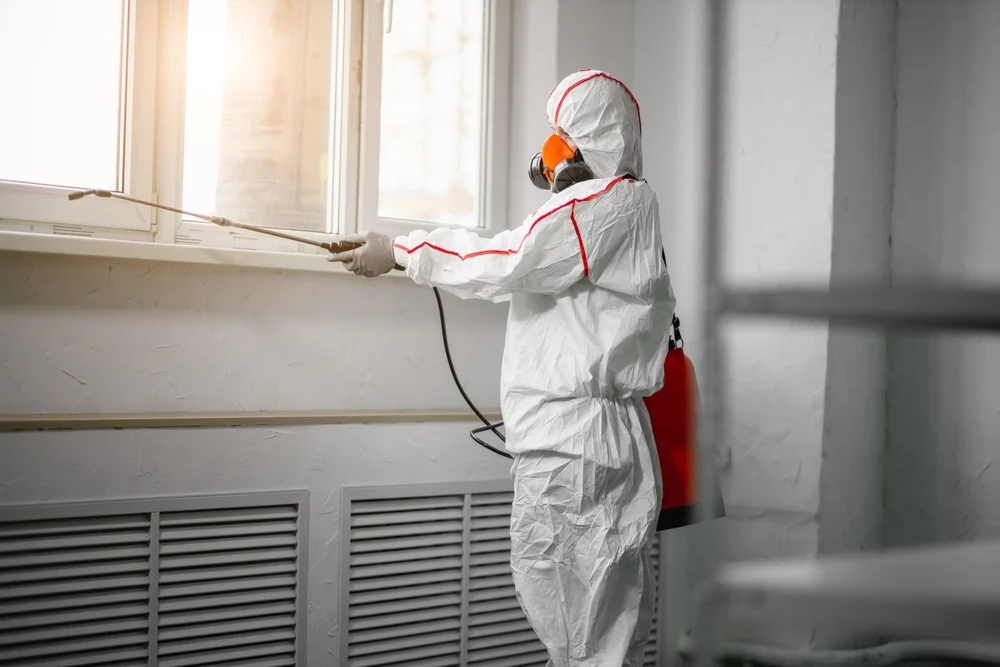 Professional mold remediation services in Marietta, GA